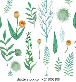 Watercolor herbal elements seamless pattern. Hand drawn flowers and plants illustration  background. Vector texture