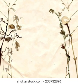 Watercolor herbarium hand drawn on the old paper. Vector plants and branches. 