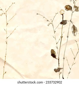 Watercolor herbarium hand drawn on the old paper. Vector plants and branches. 