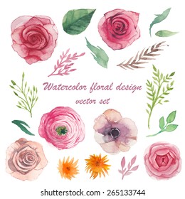 Watercolor herbs, ranunculus, anemone, roses elements set. Vintage leaves, flowers and branches. Vector hand drawn design illustration