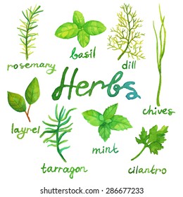 Watercolor Herbs Set