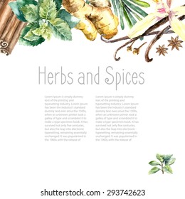 Watercolor herbs and spices frame. Hand painted food objects: mint, basil, rosemary, parsley, oregano, thyme, bay leaves, green onion, ginger, pepper, vanilla.  Hand draw illustration.