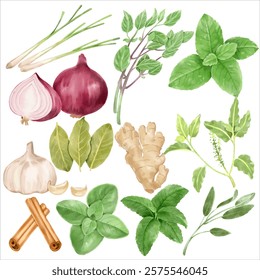 Watercolor Herbs and Spices Illustration: Featuring Lemongrass, Red Onion, Garlic, Ginger, Sweet Basil, Thai Basil, Bay Leaves, Cinnamon Sticks, and Mint for Culinary and Natural-Themed Art Projects