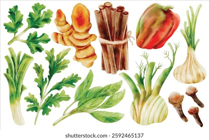 Watercolor Herbs and Spices Illustration Set - Hand-Painted, Realistic, Botanical - Parsley, Basil, Ginger, Cinnamon, Clove, Fennel, Bell Pepper, Vector Illustration