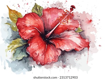 Watercolor Hibiscus flower, Geranium flower vector art. 