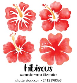 Watercolor hibiscus, Hibiscus, flowers, vector, illustration, tropical flowers