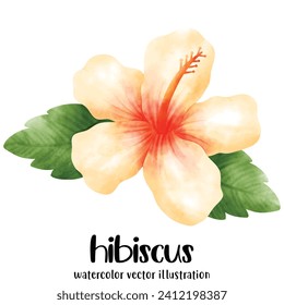 Watercolor hibiscus, Hibiscus, flowers, vector, illustration, tropical flowers