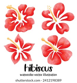 Watercolor hibiscus, Hibiscus, flowers, vector, illustration, tropical flowers