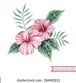 Watercolor Hibiscuses and leaves central decorative composition. Floral elements painted in watercolor. Hand drawn tropical botanical bouquet at white background. Vector illustration.