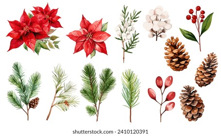 Watercolor holiday plants, poinsettia and pine corn  branches clipart collection.  Isolated on white background vector illustration set. 