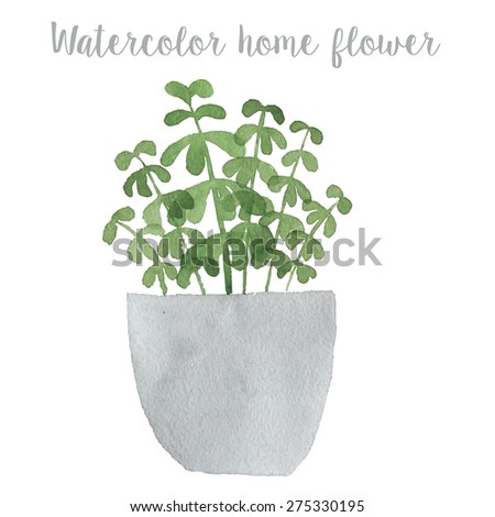 Watercolor home flower in vector