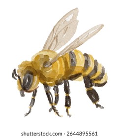 Watercolor honey bee isolated on white background