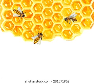 Watercolor Honeycomb And Bee Over White, Vector