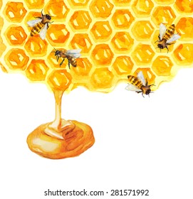 Watercolor Honeycomb And Bee Over White, Vector