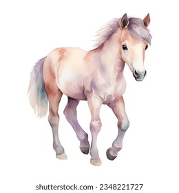 Watercolor horse. Vector illustration with hand drawn cute pony. Clip art image.