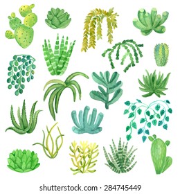 Watercolor houseplant cactus succulents set