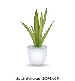 Watercolor houseplant illustration Hand-painted clip art of a house isolated on white