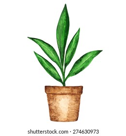 Watercolor Houseplant, Sprout, Green Leaves In Flower Pot Closeup Isolated On White Background. Hand Painting On Paper