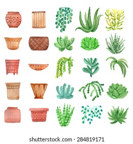 Watercolor houseplants,  plants succulents and pots set