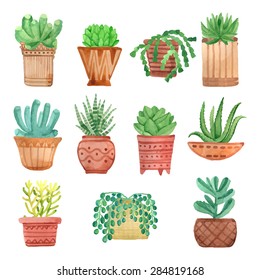 Watercolor houseplants in pots set