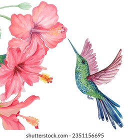 watercolor humming bird and hibiscus flower