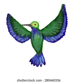 Watercolor hummingbird isolated on white background. Hand draw bird for your design, green and blue colors