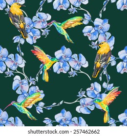 Watercolor hummingbirds seamless pattern. Orchids. Seamless pattern of tropical flowers Vector.