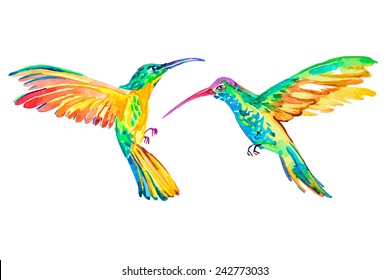 Watercolor hummingbirds. Vector. Isolated. Tropical birds.