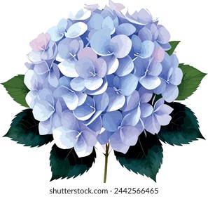 Acuarela hortensia clipart con racimos de flores azules, púrpuras y rosas