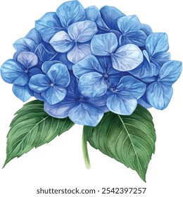 Watercolor hydrangea ilustração de cluster. Pétalas azuis vibrantes pintadas à mão formando uma flor arredondada, isoladas em um fundo branco.