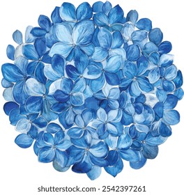 Watercolor hydrangea ilustração de cluster. Pétalas azuis vibrantes pintadas à mão formando uma flor arredondada, isoladas em um fundo branco.