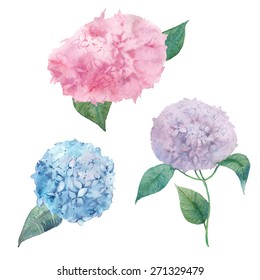Watercolor hydrangea set. Vector hand drawn various flowers isolated on white background. Botany illustrations
