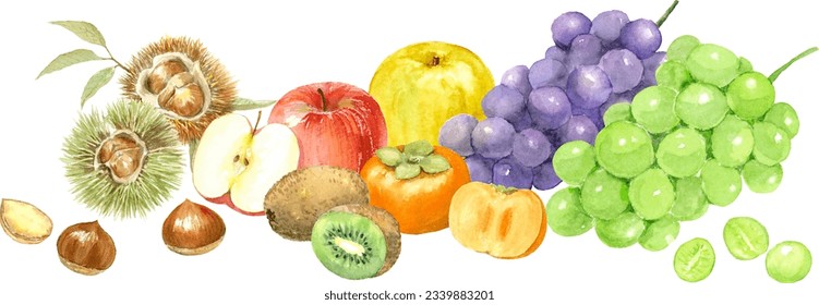 Watercolor illustration of autumn fruit collection