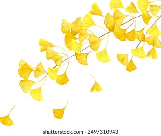 Watercolor illustration of autumn ginkgo leaves