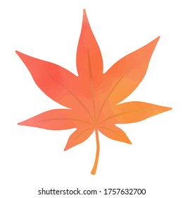 Watercolor illustration of autumn leaves.