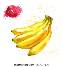 Watercolor illustration banana.