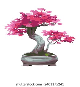 watercolor illustration of beautiful bonsai plants