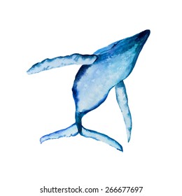 Watercolor Illustration Big Whale. Vector, isolated on white background.