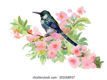 Watercolor illustration of bird on branch with pink flowers vector