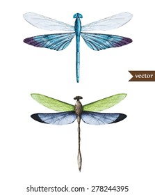 watercolor illustration of a blue dragonfly, vector isolated
