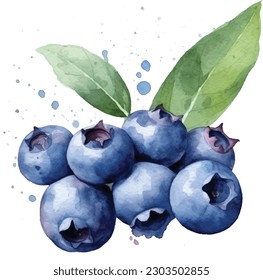 Watercolor illustration of blueberry and leaf with paint smudges and splashes.