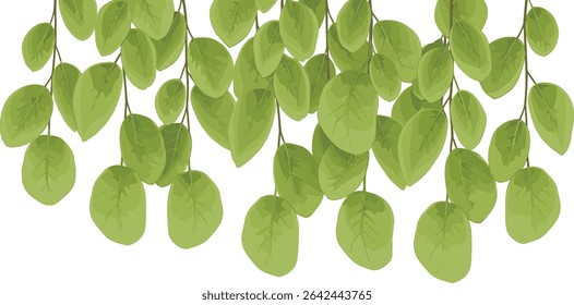 Watercolor illustration of botanical seamless Border with Eucalyptus branches and leaves. Drawing of Frame for wedding invitation, stationery backgrounds and Baby shower greeting cards.