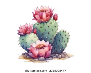 watercolor illustration of cactus plant with pink flowers