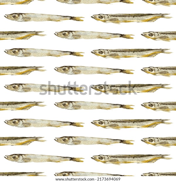Watercolor illustration of capelin fish. Marine\
food fish, seamless vector illustration isolated on white\
background. Can be used for wallpaper, website background, fabric\
texture, wrapping\
paper.