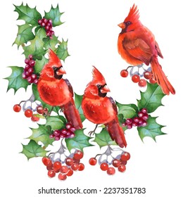 Watercolor illustration. Cardinal birds - a symbol of Christmas, ripe red pomegranate . Set of design elements isolated on white background. Realistic sketch drawing.