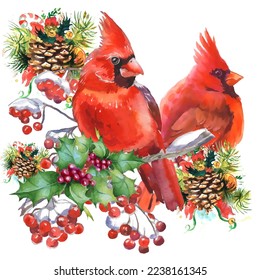 Watercolor illustration. Cardinal birds - a symbol of Christmas, ripe red pomegranate . Set of design elements isolated on white background. Realistic sketch drawing.