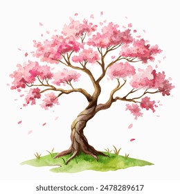 Watercolor illustration of a cherry blossom tree in bloom during the spring season