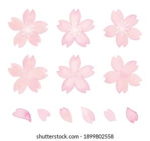 Watercolor illustration of cherry blossoms