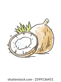 Watercolor Illustration of Coconuts with Green Leaves, Half Coconut Slice, Tropical Food