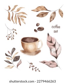 Watercolor illustration of coffee branches, leaves and grains.  Delicate botanic decorative elements. Roasted coffee grains